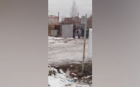 "Есть нечего, а просрочка бесплатно": фото питающихся из мусорных баков возмутила ярославцев