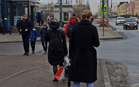 Морозы ударят внезапно: синоптики назвали дату аномального похолодания в Ярославле