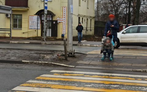 Родители удивятся: новые способы потратить маткапитал назвали в Госдуме