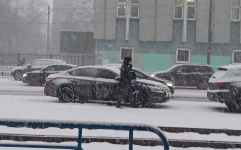 Экстремальная махрово-красная погода: 10 теплых дней обещают синоптики ярославцам