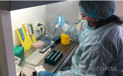 Клещи проснулись в январе: кто пострадал первым в Ярославле