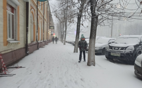 «Розовый февраль»: синоптики предупредили ярославцев об аномальных погодных условиях