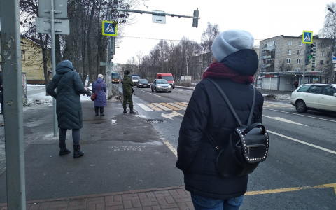 Потеряли зиму: синоптики предвещают «розовый февраль» в Ярославле