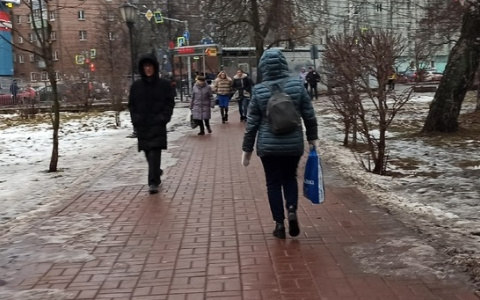 "Маленькая девочка выходит замуж": депутат о трансгендерном скандале и цензуре детских елок в Ярославле