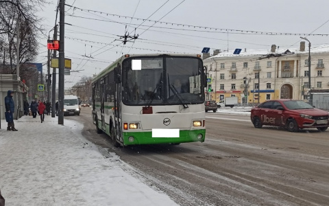 "Че шаришься по карманам": водитель выкинул старика из автобуса в Ярославле