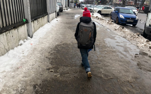 Ночами не стойте: лайфхак для родителей будущих первоклассников из Ярославля