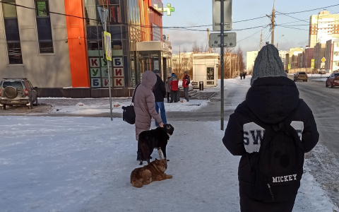Регион вымирает: названы причины смертности в Ярославской области
