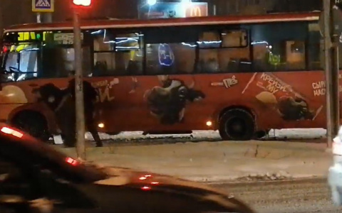 Сдали нервы: ярославцы устроили драку на месте массового ДТП в Брагино. Видео