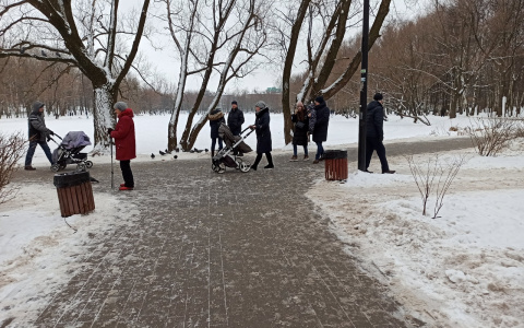 "Пусть совсем отнимут льготы!": почему ярославцы отказываются от бесплатных лекарств