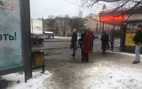 "Сговор перевозчиков": куда делись маршрутки в Ярославле