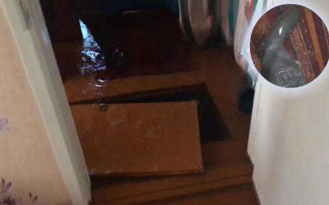 «Вода прибывает»: люди в панике бегут из затопленных домов в Ярославле. Видео