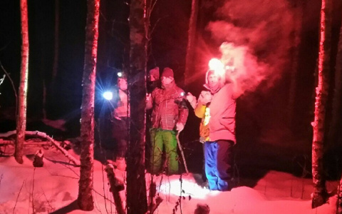 "Следы петляли на снегу": пропавший ярославец двое суток выживал в лесу при минус 15