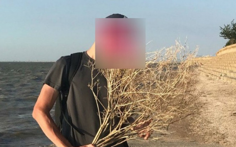 Снабжал два региона: в Ярославле ФСБ поймала организатора наркосети