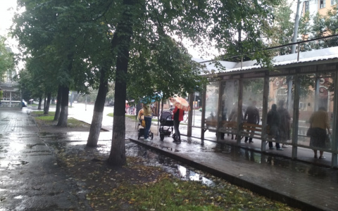 Жару сменят штормы и ураганы: синоптики составили прогноз на лето 2020 по месяцам