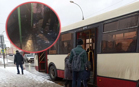 Вошел в автобус и ... упал: на обледенелый транспорт жалуются ярославцы