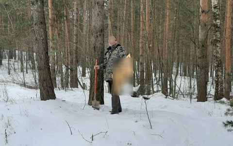 300 тысяч за дерево: власти штрафуют ярославцев после лесных рейдов