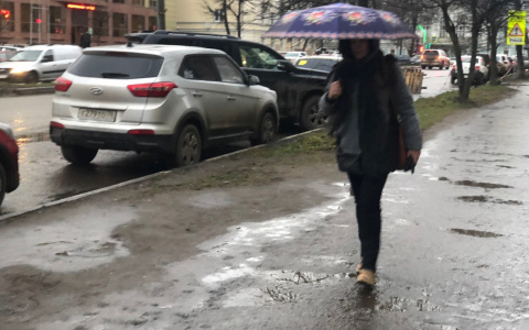 Температура побьет рекорды: аномальная весна идет на Ярославль