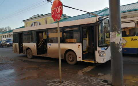 Орали на всю улицу: в центре города водитель автобуса сбил ярославну