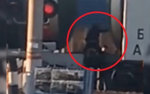 С детьми лезут через поезд: опасное видео из Ярославля