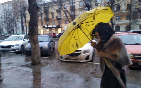 Спасайтесь дома: непогоду обещают в длинные выходные в Ярославле