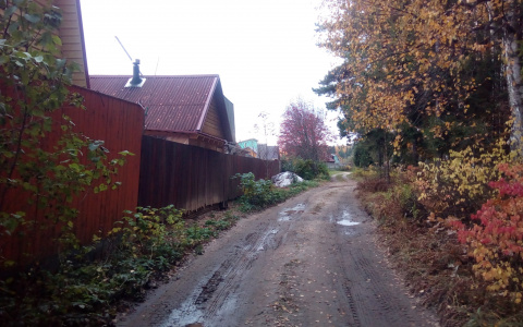 Оштрафуют даже за кустик: новые наказания будут вводить для дачников