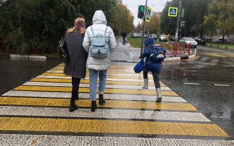 Провальное лето пообещал климатолог ярославцам. Прогноз по месяцам