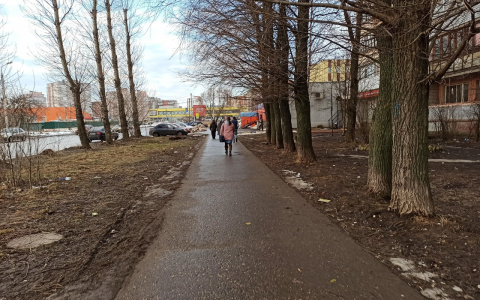 Бойтесь, дачники: синоптики рассказали, каким будет лето в Ярославле