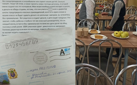 «Котлету не съела даже бездомная кошка»: ярославцы скандалят из-за школьного питания