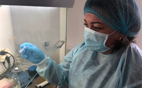 "Уже выходят на охоту": о ранней атаке клещей предупреждают ярославцев