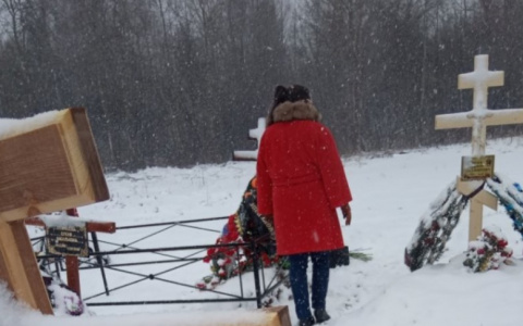 "В могилах дыры": власти рассказали, что будут делать с провалами на кладбище Ярославля