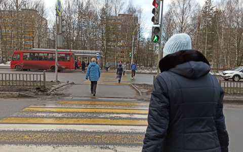 Экстремально высокую температуру в конце недели пообещали синоптики в Ярославле