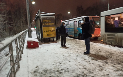 От него одни убытки: в Ярославле планируют закрыть троллейбусный маршрут