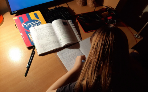 Знать, чтобы сдать без проблем: о коварных заданиях ВПР рассказали ярославцам