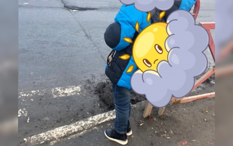 Дядя, помоги: малыш клянчит деньги у прохожих в Ярославле