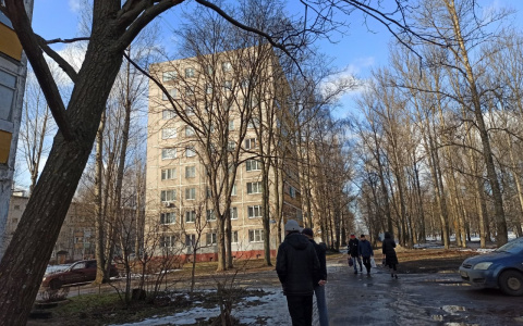 Зима, уходи: синоптики рассказали, какими будут весна и лето 2020 в Ярославле