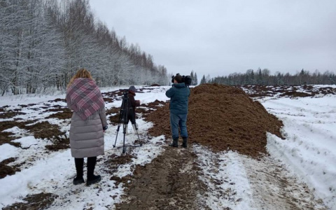 "Боимся паводка и болезней": берег реки завалили фекалиями под Ярославлем
