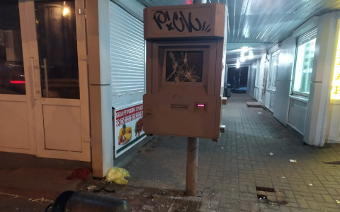 Рыдайте, бабушки: ярославцы жестоко разгромили остановку в Брагино. Фото