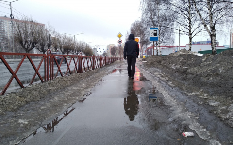 Повторение аномально жаркого лета 2010-го: судьбу решит март