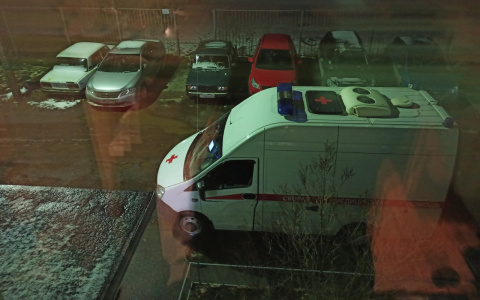 "Тело направили на экспертизу": мертвого мужчину нашли под Ярославлем