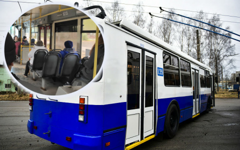 Транспорт сократят, депо закроют: ярославцы подписывают петицию в защиту троллейбусов