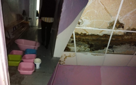 Везде грибок и плесень: региональный департамент образования о состоянии детского сада в Рыбинске