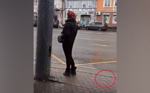 Деньги сыпались под ноги: на честность проверили прохожих в Ярославле