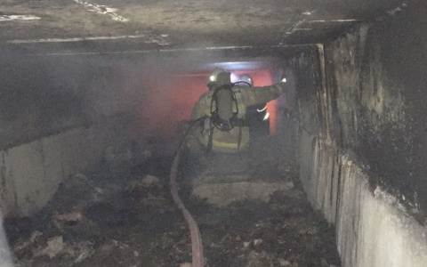 Знали, что там человек: под Ярославлем обнаружили труп мужчины