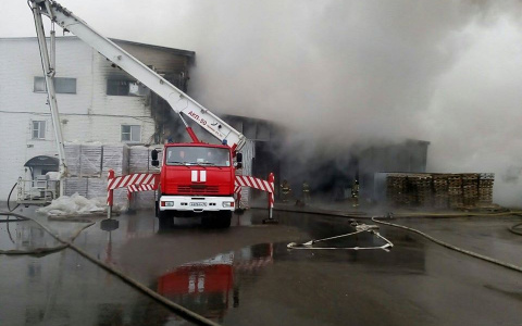 Своих не бросаем: власти просят поддержать фабрику шоколада, горевшую под Ярославлем