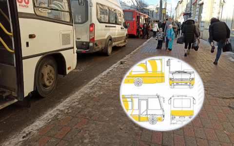 Дизайн новых автобусов выберут ярославцы: как проголосовать