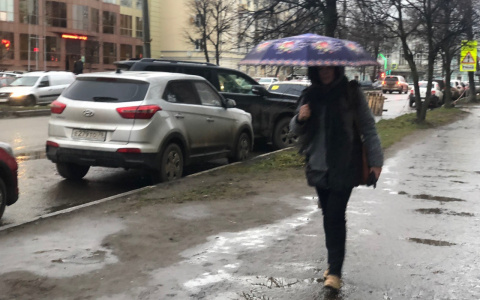 Сшибет с ног и снесет крыши: экстренное предупреждение МЧС для ярославцев