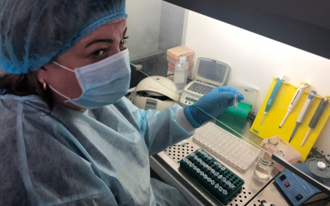 Клещи атакуют Ярославль: названы самые энцефалитные города