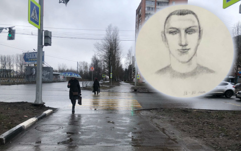 Держал нож у горла и насиловал: фоторобот брагинского маньяка