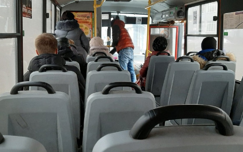 В автобус без налички: назвали транспорт, где платят картой в Ярославле