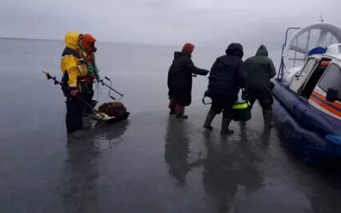 ЧП на льдине: ярославские рыбаки оказались в смертельной ловушке